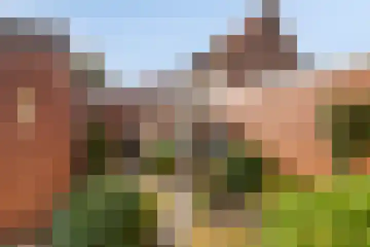 Vondellaan 28 Bergen op Zoom thumbnail 32