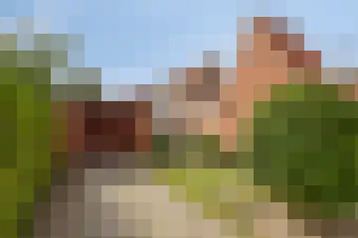 Vondellaan 28 Bergen op Zoom thumbnail 34