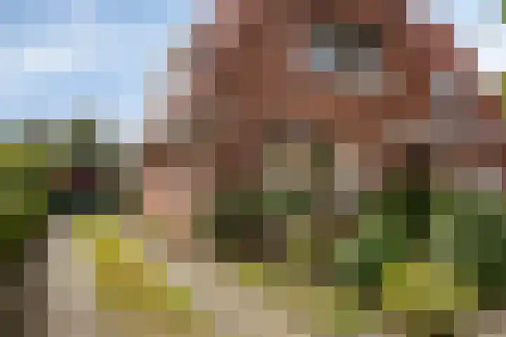 Vondellaan 28 Bergen op Zoom thumbnail 38