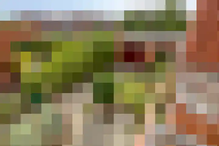 Vondellaan 28 Bergen op Zoom thumbnail 5