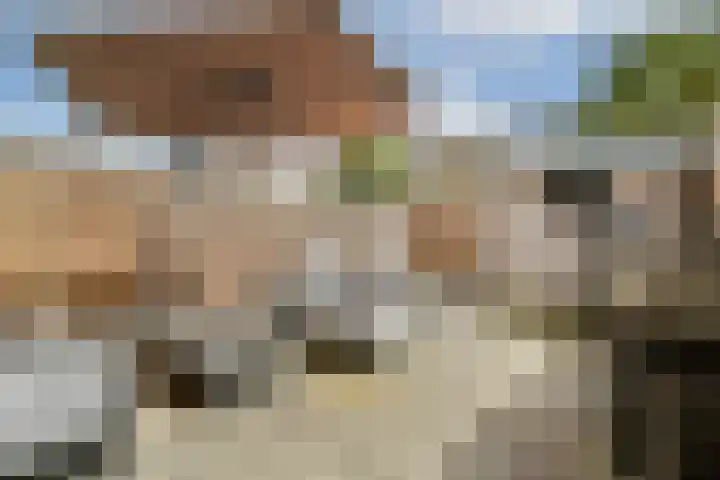 Vondellaan 30 b Zandvoort thumbnail 31