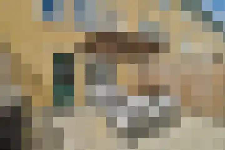 Vondellaan 30 b Zandvoort thumbnail 33