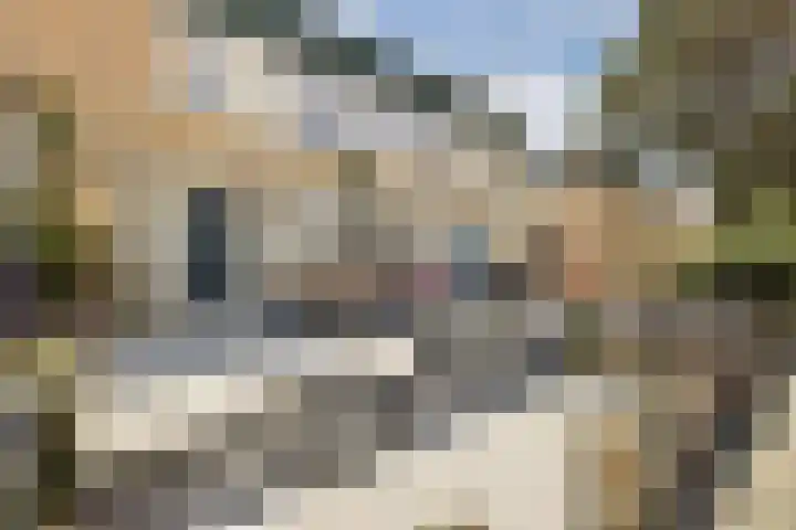 Vondellaan 30 b Zandvoort thumbnail 5