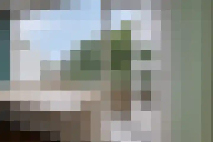 Vondellaan 310 Groningen thumbnail 16