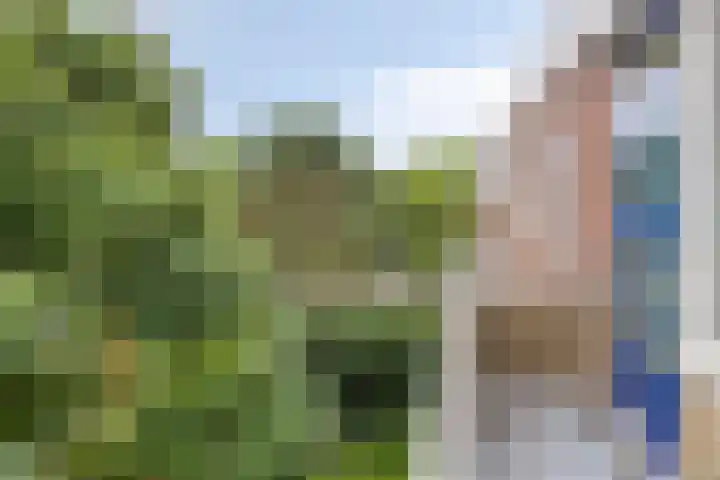 Vondellaan 310 Groningen thumbnail 17
