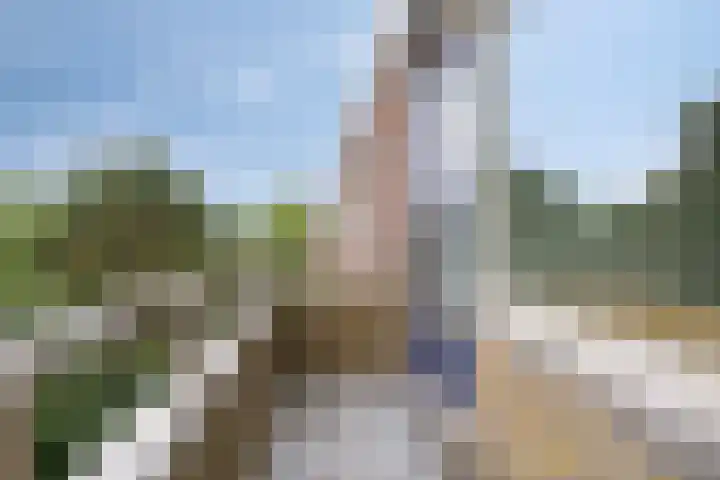 Vondellaan 310 Groningen thumbnail 18