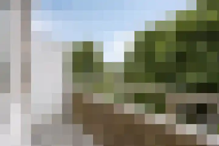 Vondellaan 310 Groningen thumbnail 19