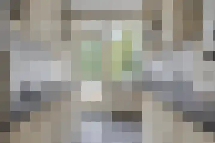 Vondellaan 310 Groningen thumbnail 20