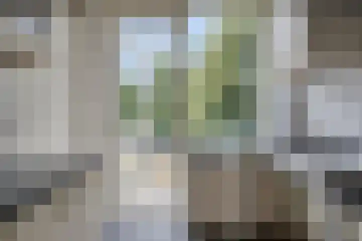 Vondellaan 310 Groningen thumbnail 21