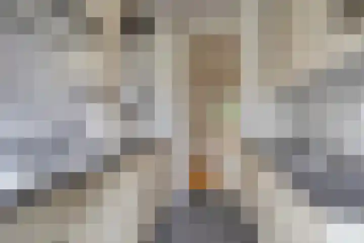 Vondellaan 310 Groningen thumbnail 24