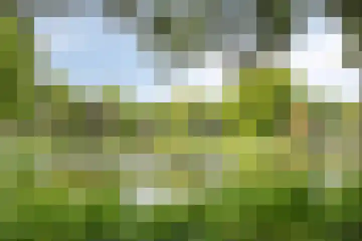 Vondellaan 310 Groningen thumbnail 34