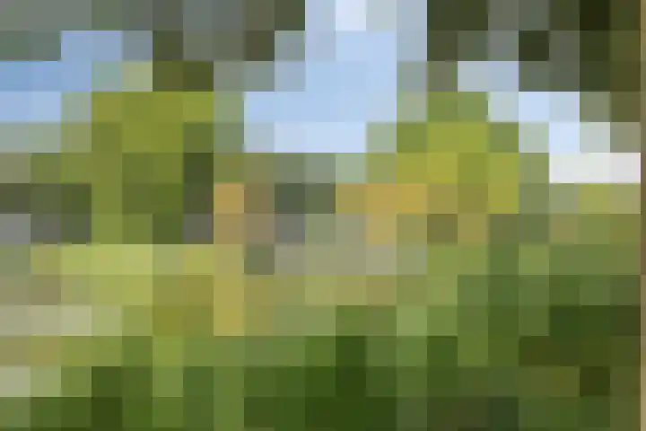 Vondellaan 310 Groningen thumbnail 35