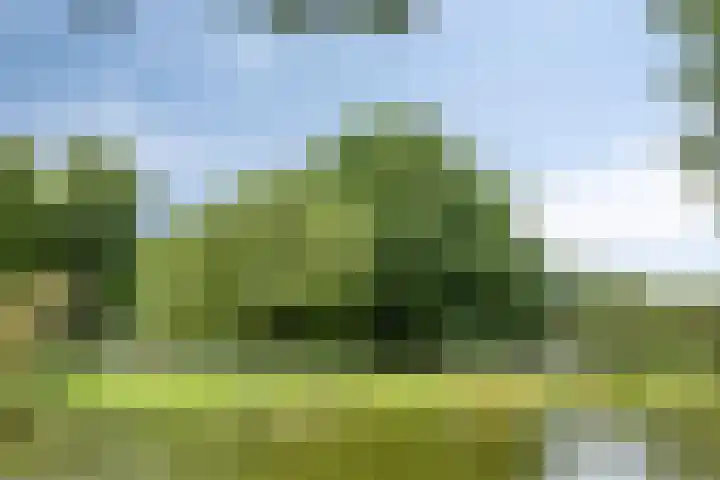 Vondellaan 310 Groningen thumbnail 36