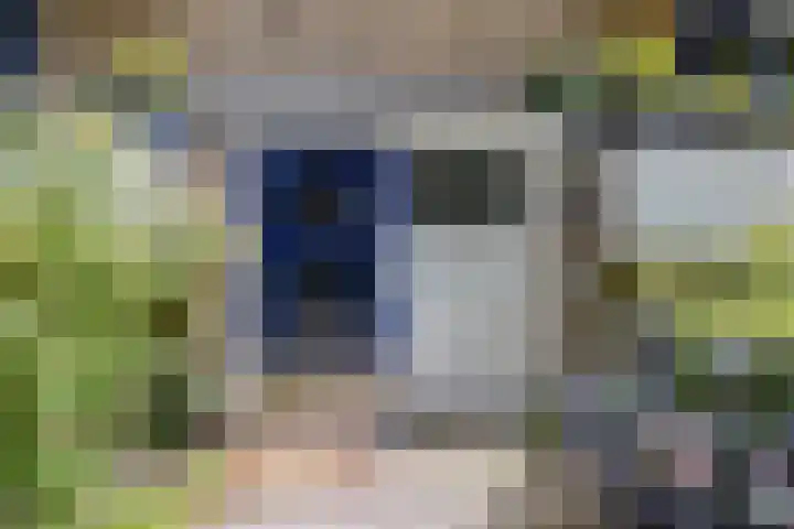 Vondellaan 310 Groningen thumbnail 4