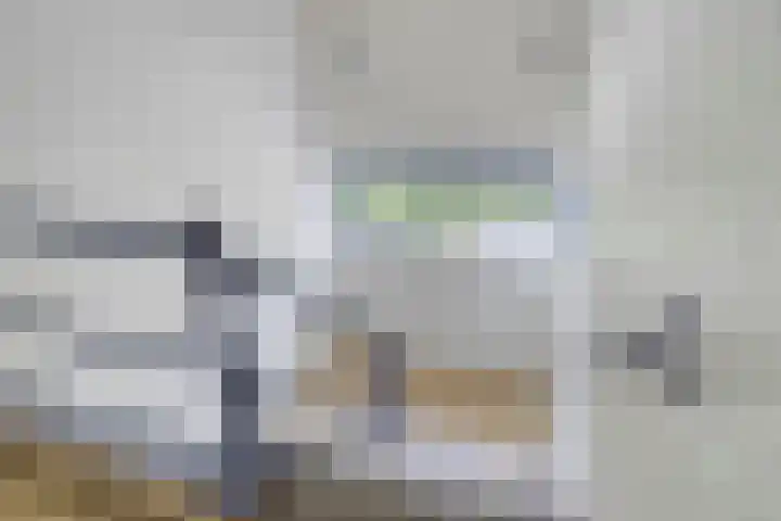 Vondellaan 310 Groningen thumbnail 7