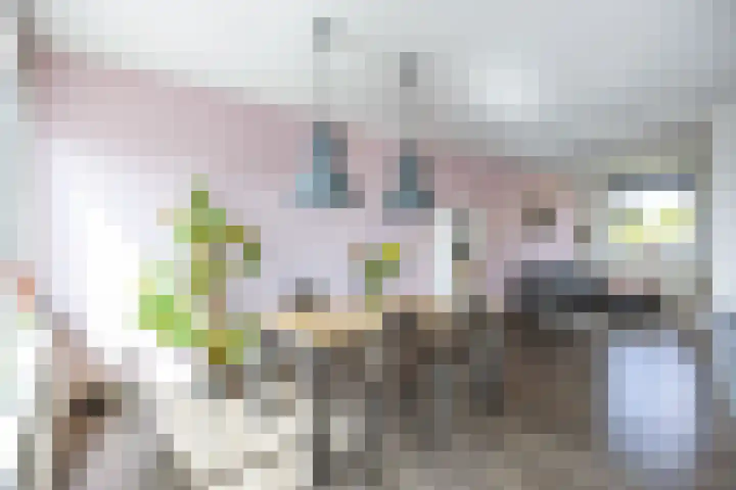Vondellaan 32 Groningen thumbnail 12