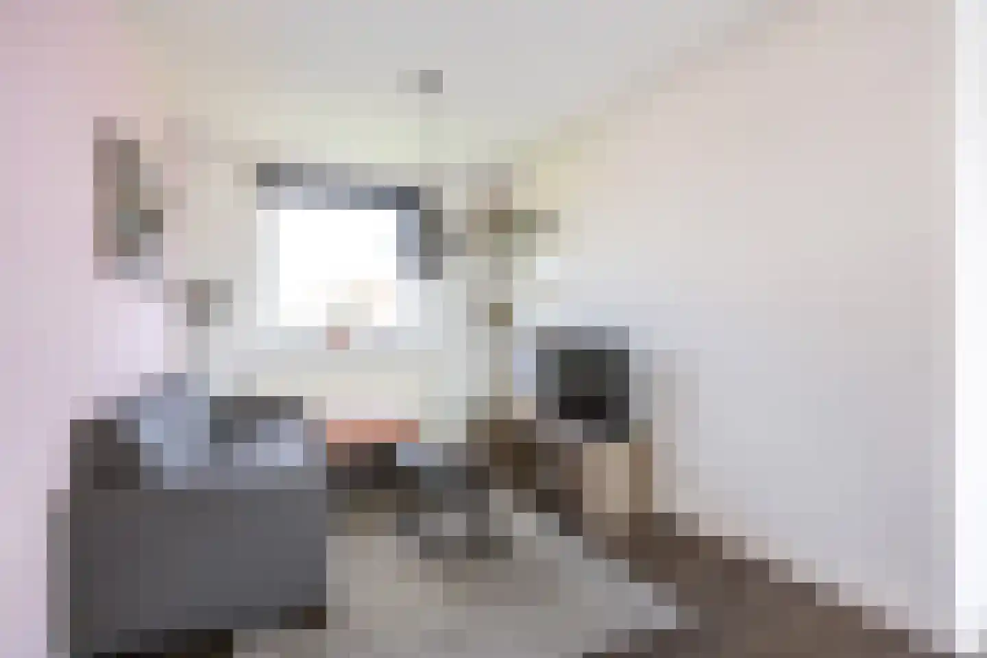 Vondellaan 32 Groningen thumbnail 14