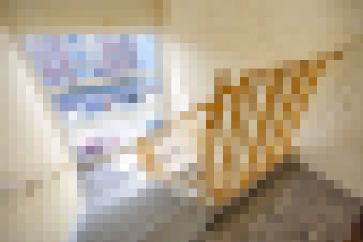 Vondellaan 32 Groningen thumbnail 7