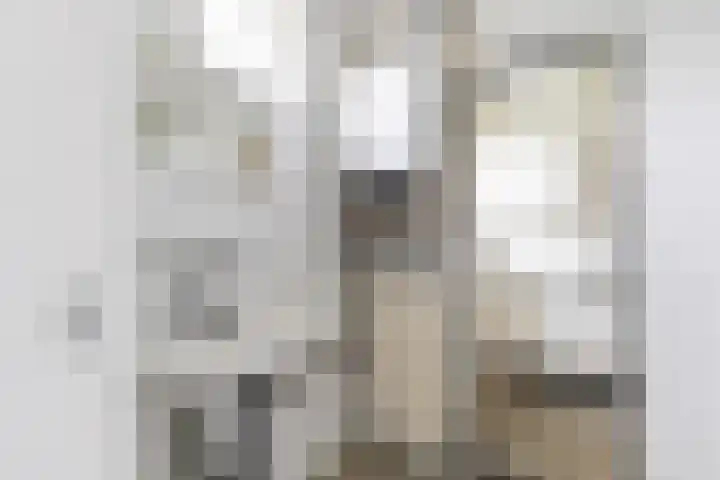 Vondellaan 326 Groningen thumbnail 20