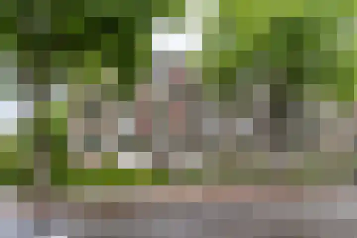 Vondellaan 326 Groningen thumbnail 33
