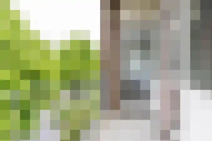 Vondellaan 326 Groningen thumbnail 5