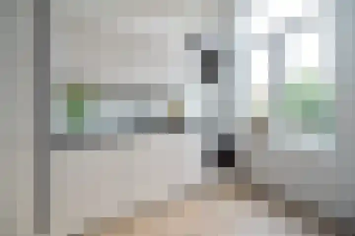 Vondellaan 33 A Utrecht thumbnail 11