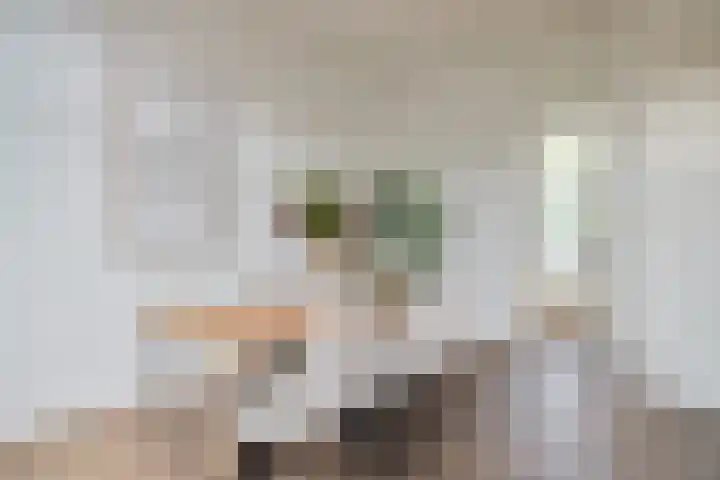 Vondellaan 33 A Utrecht thumbnail 12