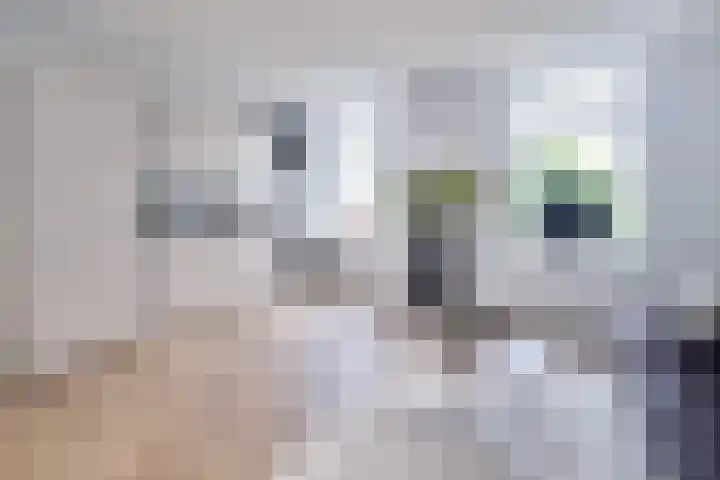 Vondellaan 33 A Utrecht thumbnail 21
