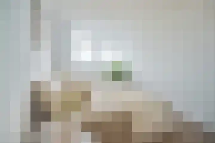 Vondellaan 33 A Utrecht thumbnail 23