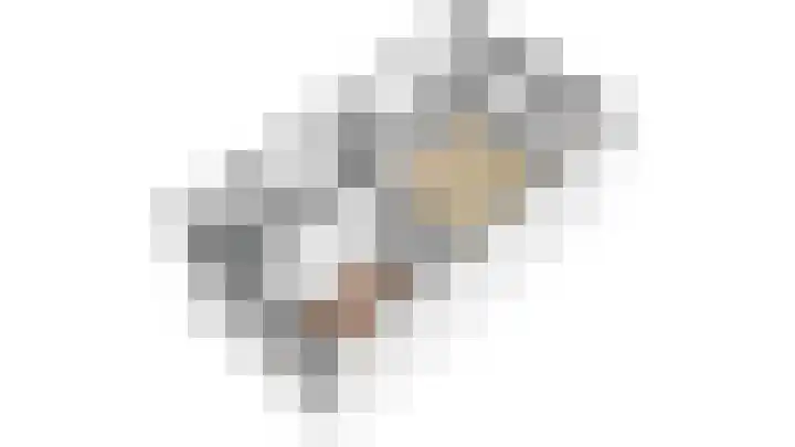 Vondellaan 33 A Utrecht thumbnail 32