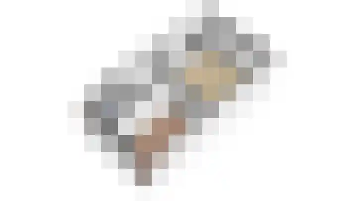 Vondellaan 33 A Utrecht thumbnail 34