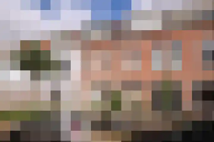 Vondellaan 33 A Utrecht thumbnail 5