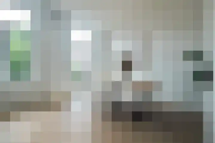 Vondellaan 33 A Utrecht thumbnail 6