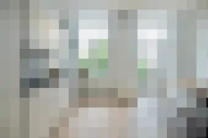 Vondellaan 33 A Utrecht thumbnail 7