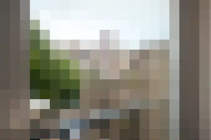 Vondellaan 33 A Utrecht thumbnail 8