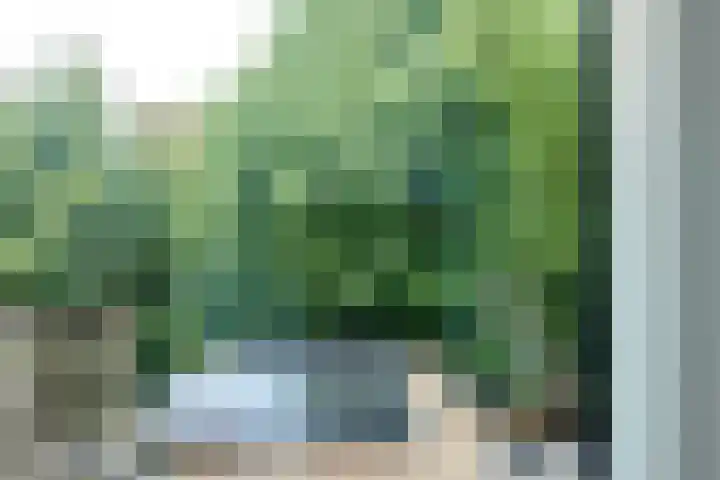 Vondellaan 33 A Utrecht thumbnail 9