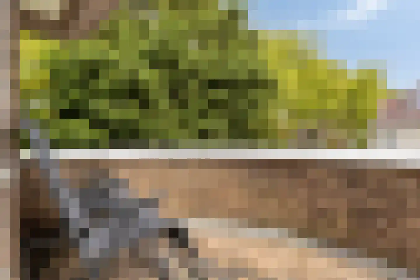 Vondellaan 34 Beverwijk thumbnail 28