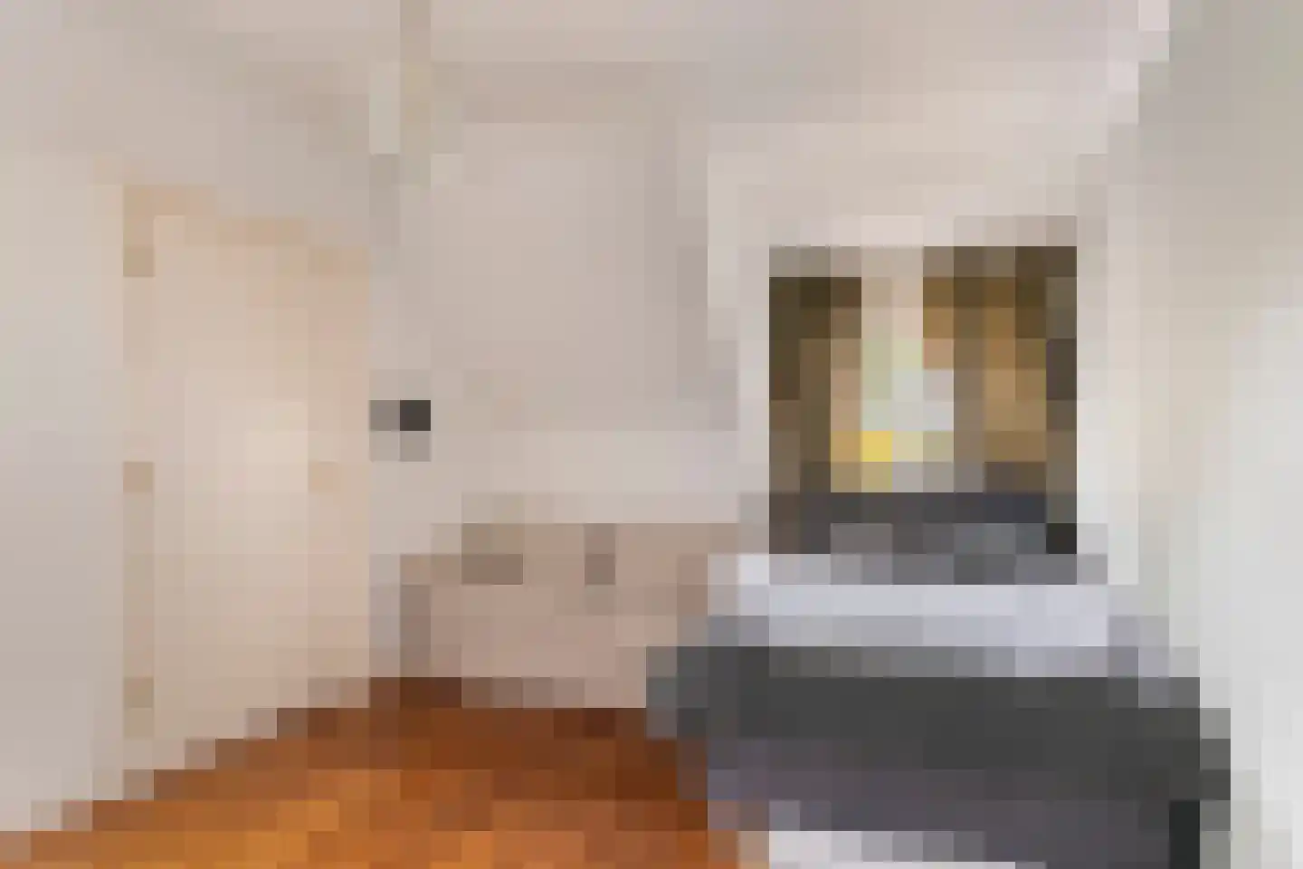 Vondellaan 34 Beverwijk thumbnail 36