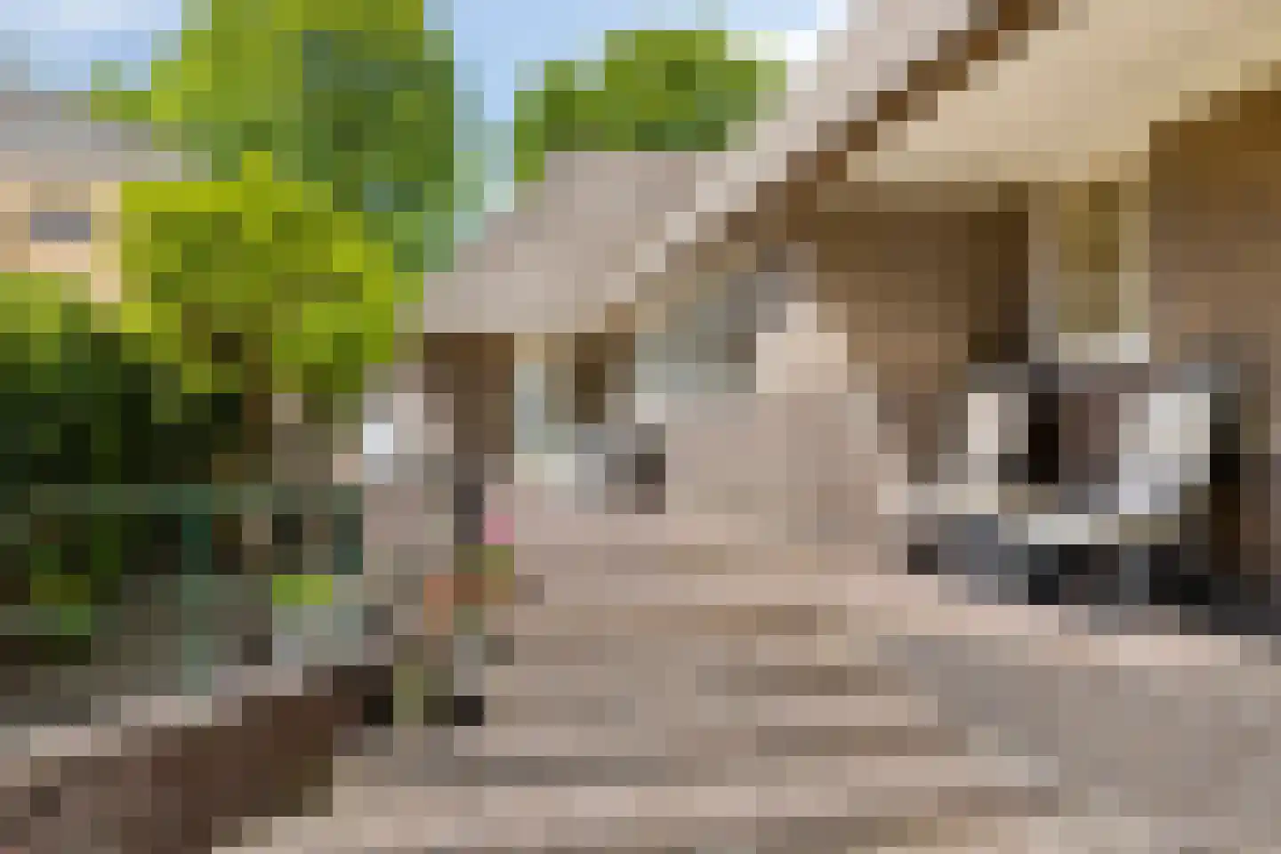 Vondellaan 34 Beverwijk thumbnail 49