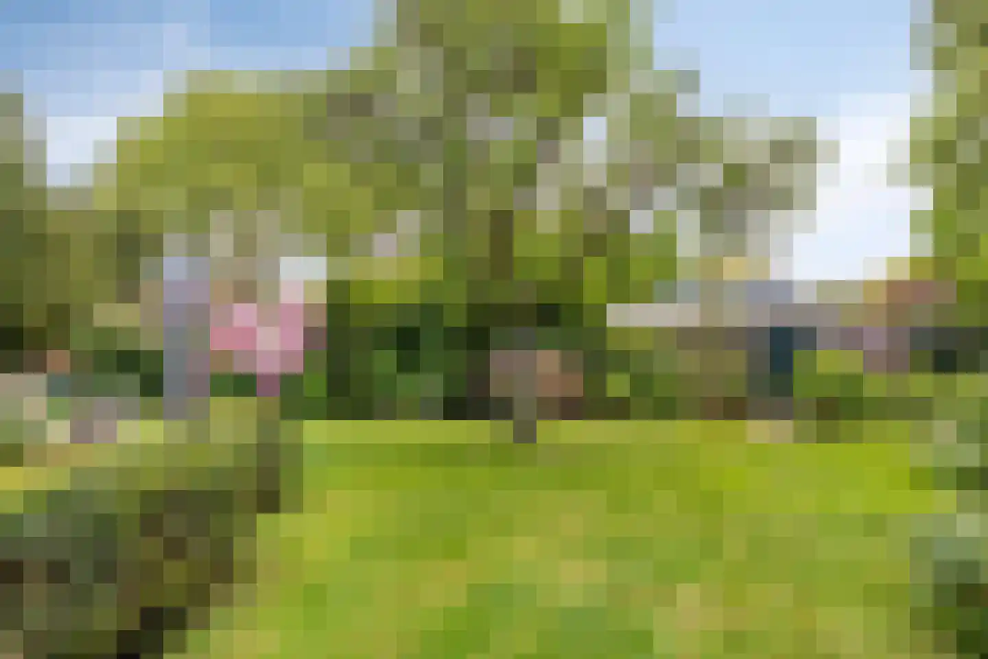Vondellaan 34 Beverwijk thumbnail 50