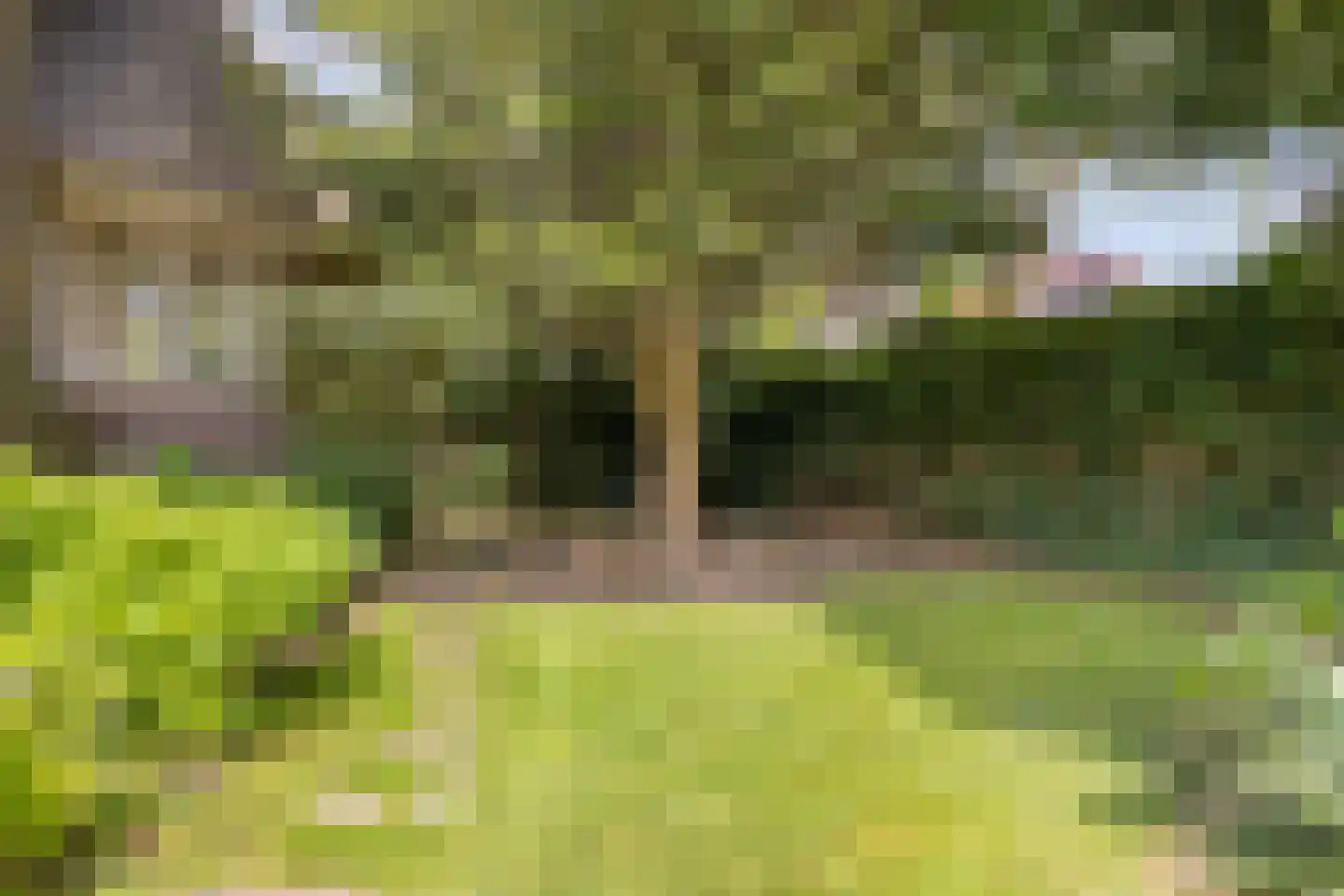Vondellaan 34 Beverwijk thumbnail 52