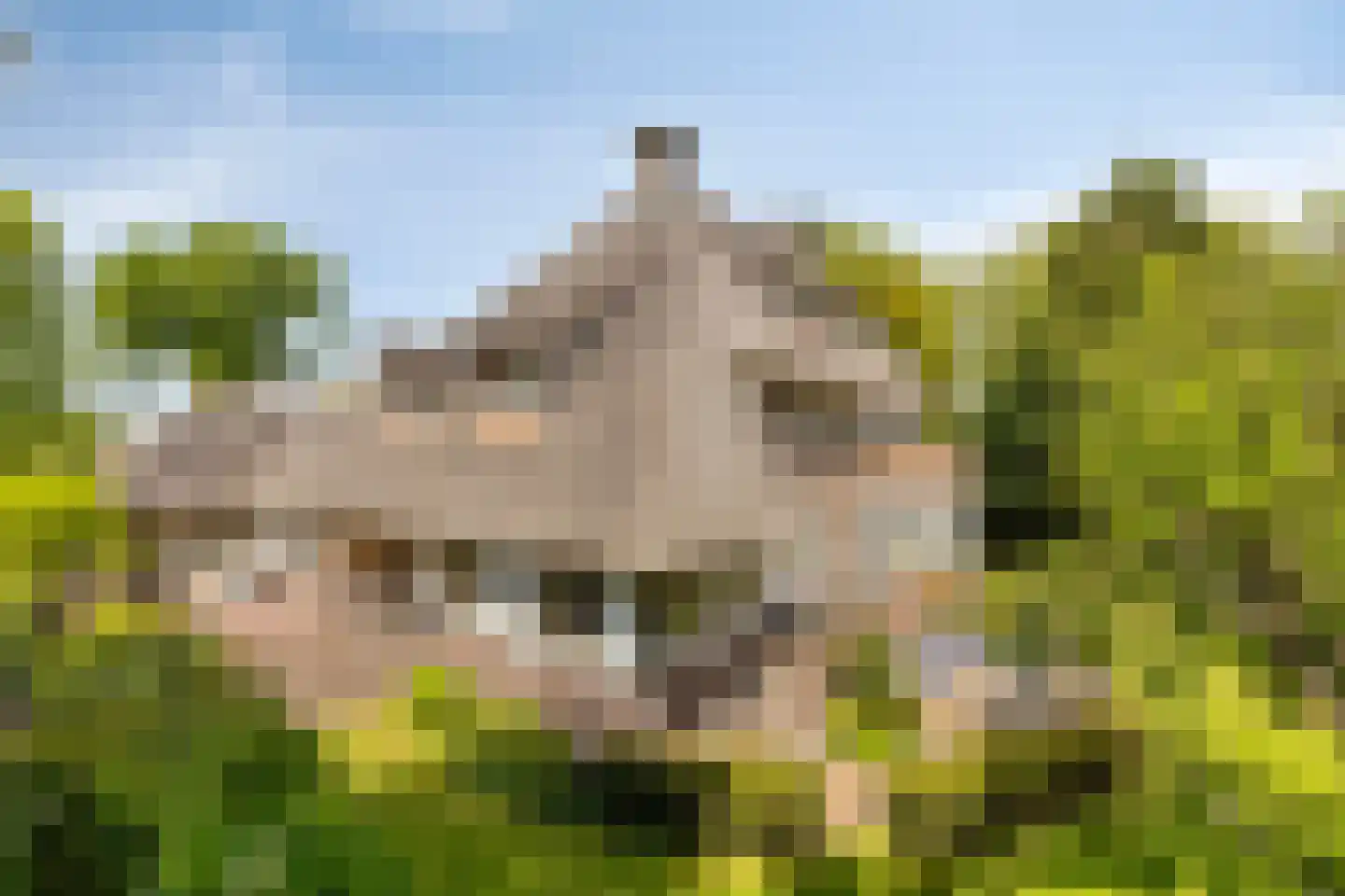 Vondellaan 34 Beverwijk thumbnail 54