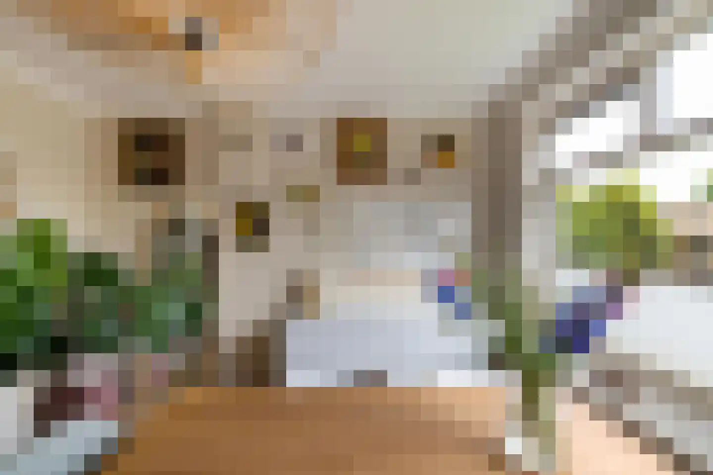 Vondellaan 340 Groningen thumbnail 15