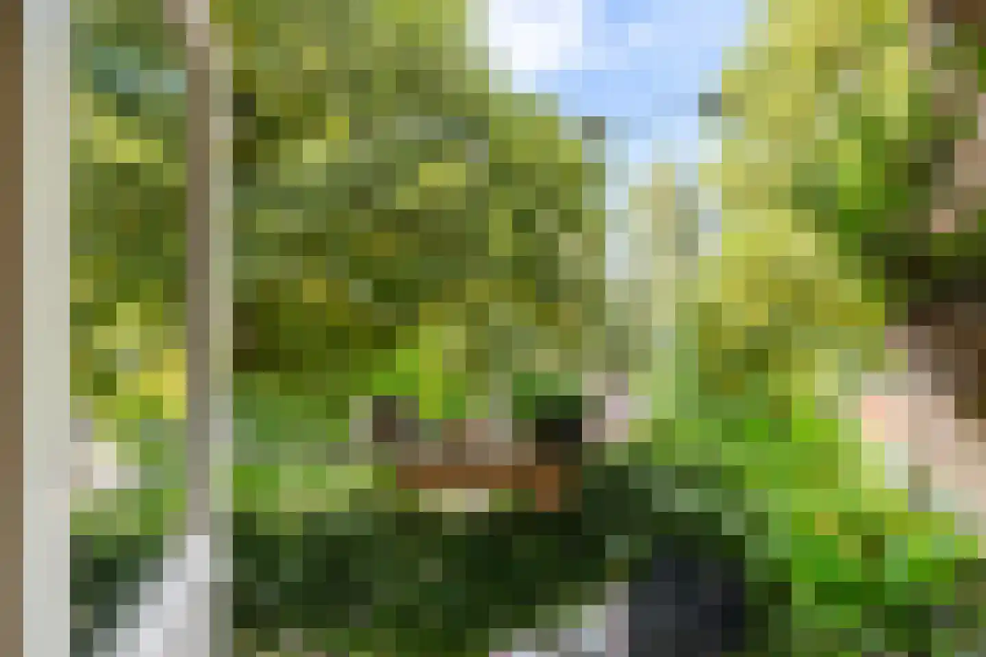 Vondellaan 340 Groningen thumbnail 20