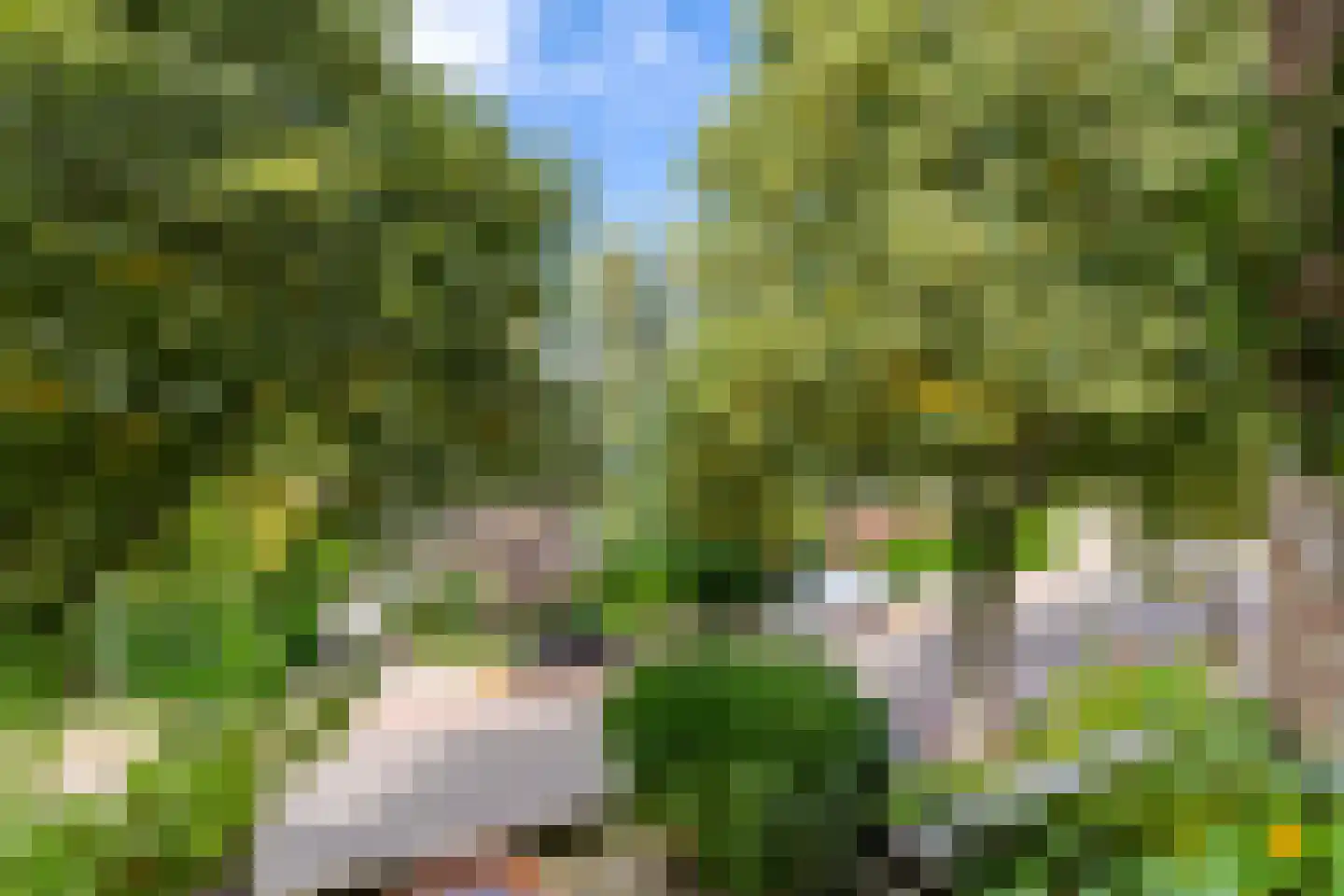 Vondellaan 340 Groningen thumbnail 21