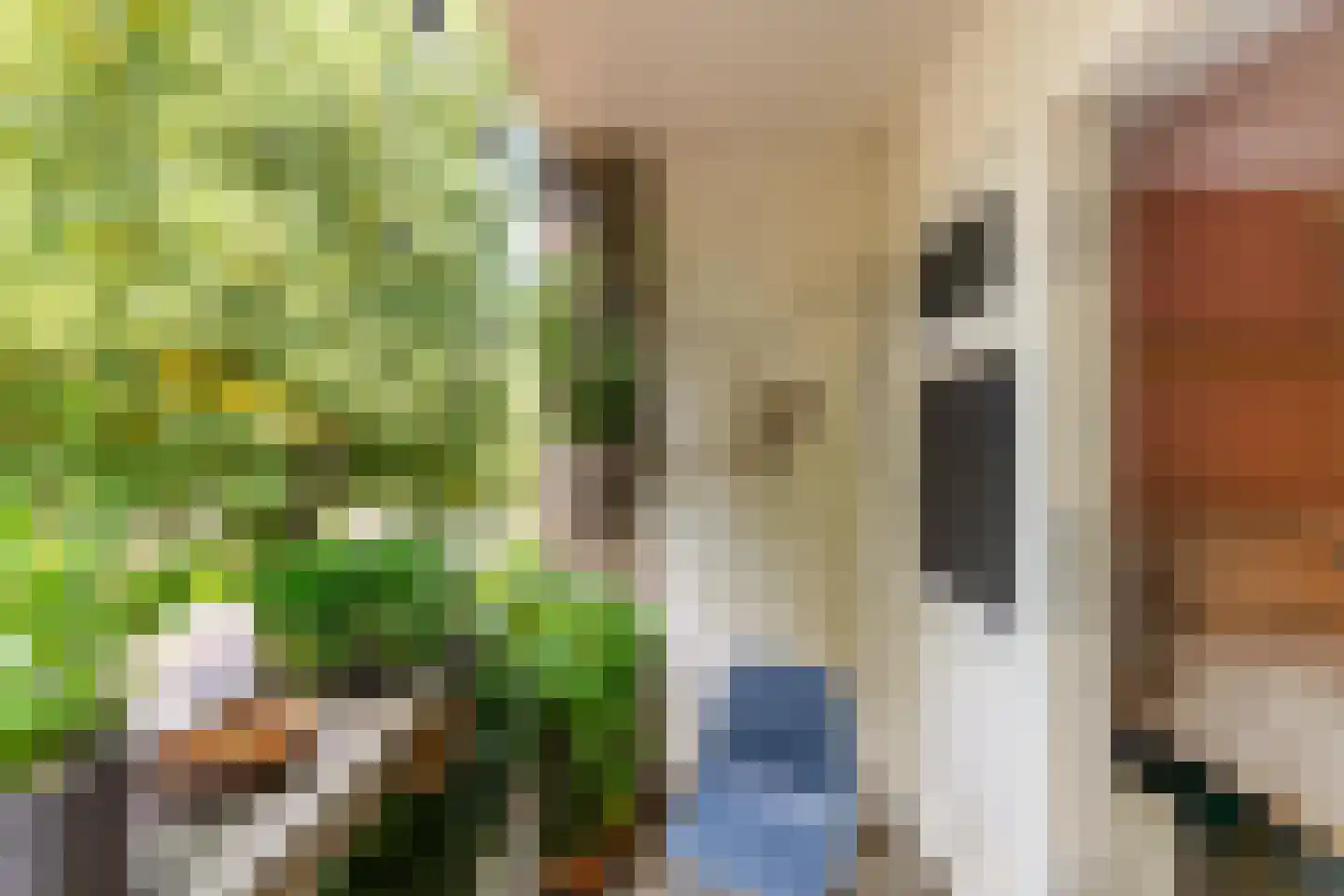 Vondellaan 340 Groningen thumbnail 22