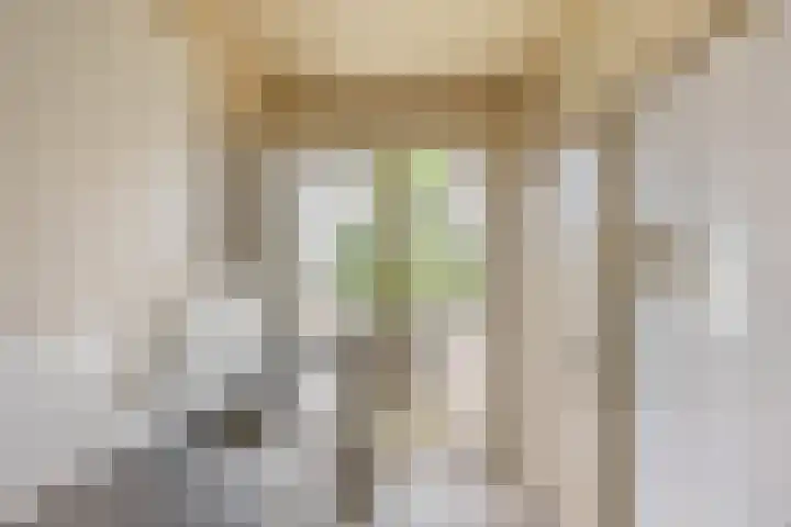 Vondellaan 344 Groningen thumbnail 16