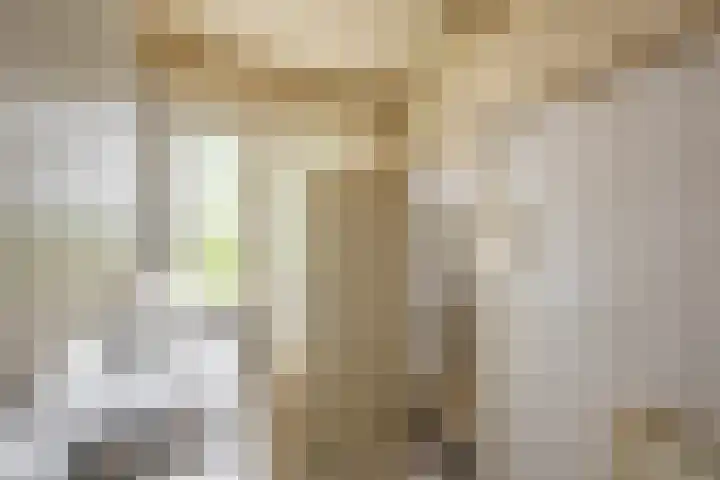 Vondellaan 344 Groningen thumbnail 19