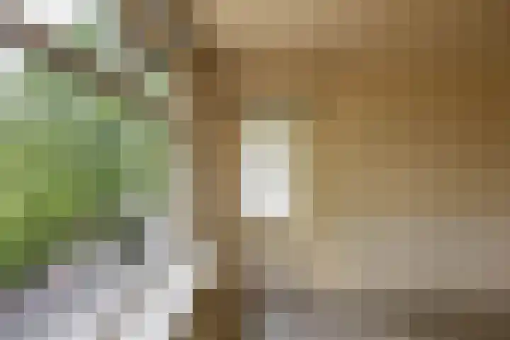 Vondellaan 344 Groningen thumbnail 24
