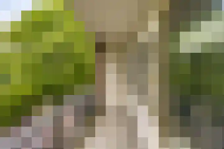 Vondellaan 344 Groningen thumbnail 25